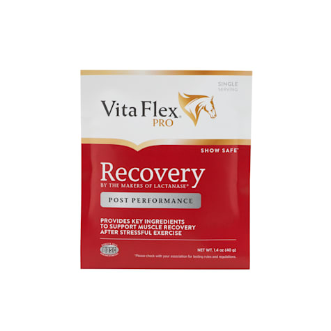 Vita Flex Pro Recovery by the makers of Lactanase, Post Performance Supplement Single serve packet