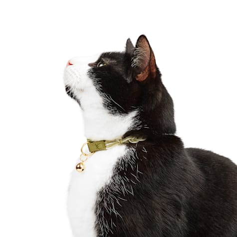 YOULY Rope Macrame Cat & Large Cat Collar