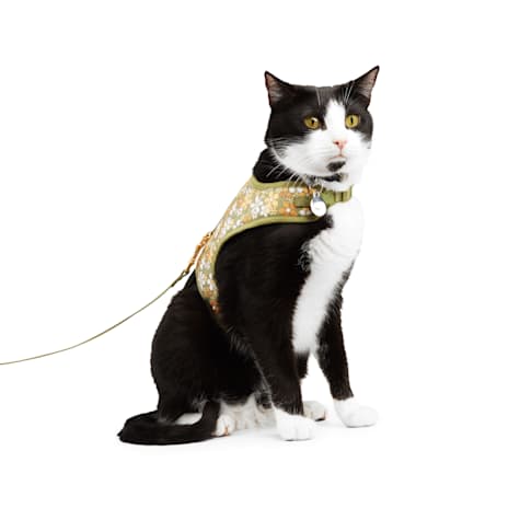 YOULY Retro Floral Cat Harness Set
