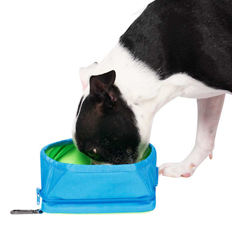 Canada Pooch Blue Chill Seeker Freeze-And-Go Dog Water Bowl