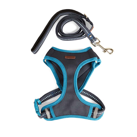 Reddy Cat Harness Set