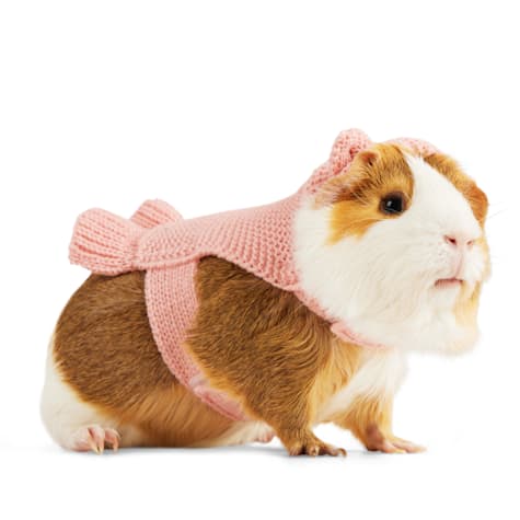 YOULY Blush Teddy Small Animal Dog Hoodie