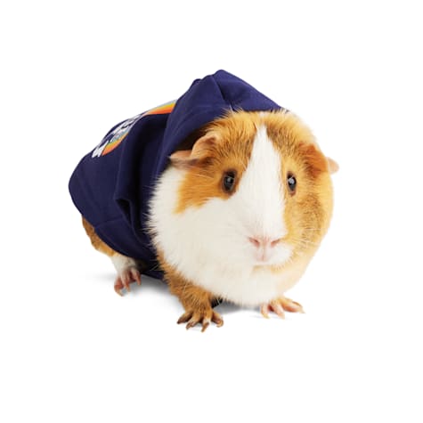 YOULY Be You Small Animal Dog Hoodie