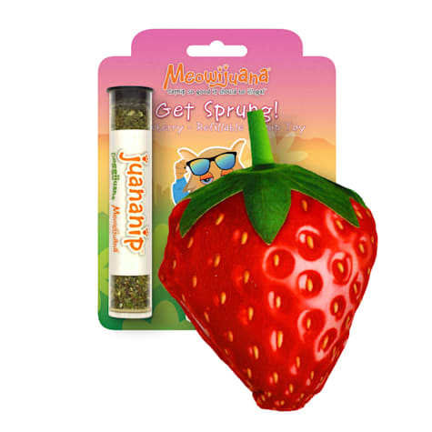 Meowijuana Get Sprung Refillable Strawberry Cat Toy