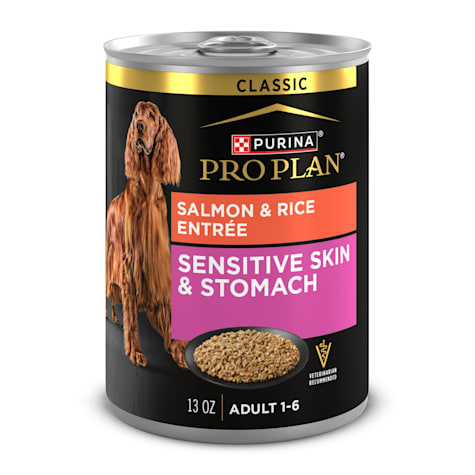 Purina Pro Plan Sensitive Skin and Stomach Salmon and Rice Entree Classic Wet Dog Food Pate