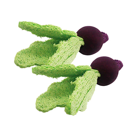 A&E Cage Company Nibbles Loofah Turnips Small Animal Treats