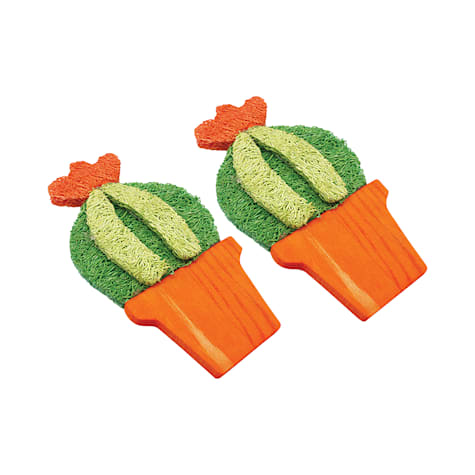 A&E Cage Company Nibbles Loofah Barrel Cactus Small Animal Treats
