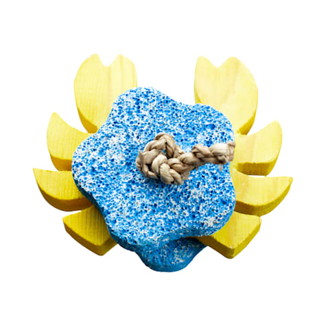 A&E Cage Company Nibbles Crabby Pumice Wooden Chew Toy for Small Animals