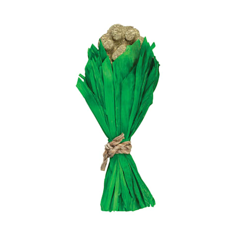 A&E Cage Company Nibbles Hay Chew Bouquet for Small Animals