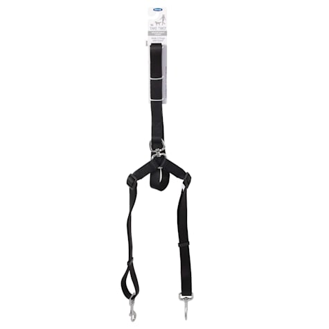 Aspen Pet by Petmate Take Two Adjustable Leash With Cushion Grip