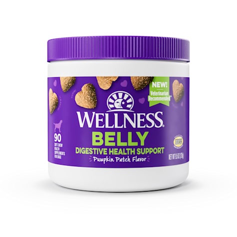 Wellness Pumpkin Patch Flavored Soft Chew Digestive Health Supplements for Dogs