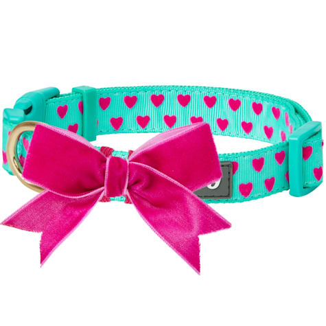 Blueberry Pet Velvety Heart Flocking Dog Collar