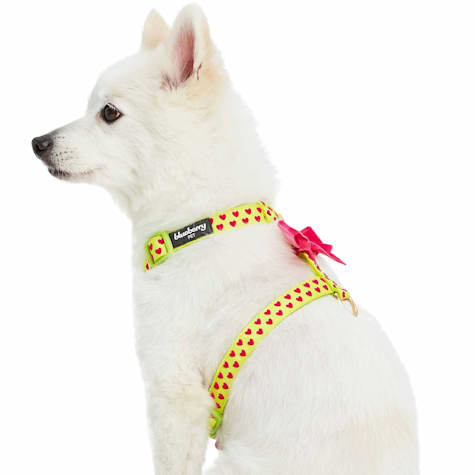 Blueberry Pet Step-in Velvety Heart Flocking Dog Harness
