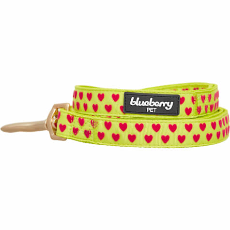 Blueberry Pet Velvety Heart Flocking Dog Leash