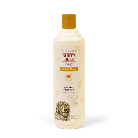 Burt's Bees Manuka Honey Oatmeal Shampoo with Coconut Oil for Dogs