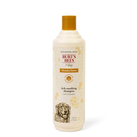 Burt's Bees Manuka Honey Itch Soothing Shampoo with Chamomile for Dogs