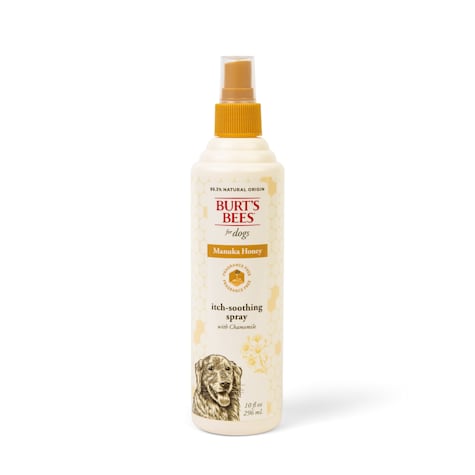 Burt's Bees Manuka Honey Itch Soothing Spray with Chamomile for Dogs