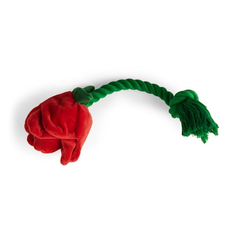 YOULY Valentine's Day Rose Rope Dog Toy