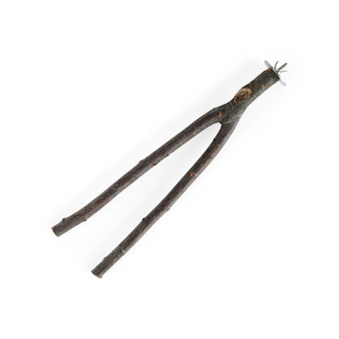 You & Me Bird Manzanita Wood Multi-Branch Bird Perch Toy