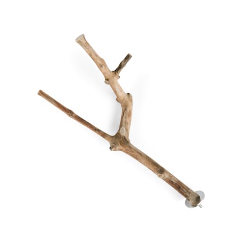 You & Me Java Wood Multi-Branch Perch Toy
