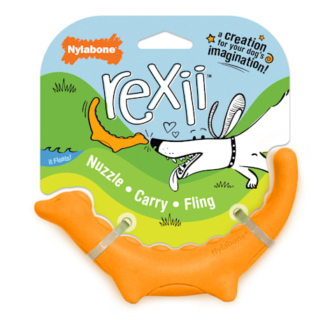 Nylabone Creative Play Rexii Interactive Dog Toy