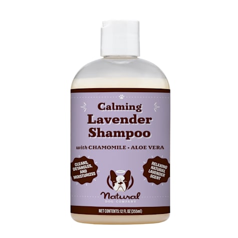 Natural Dog Company Calming Lavender Shampoo for Dogs
