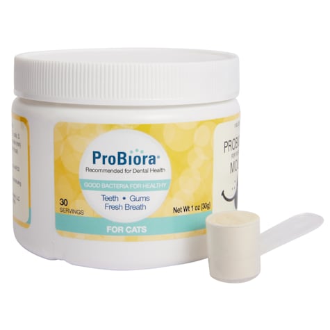 ProBiora Good Bacteria for Healthy Teeth, Gums and Fresh Breath Probiotics for your Cat's Mouth 30 Day Supply