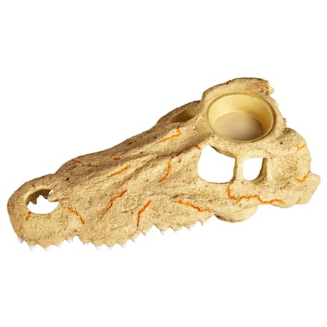 Zilla Rapid Sense Decor Large Crocodile Skull with Feeding Cup