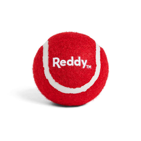 Reddy Red Tennis Ball Dog Toy