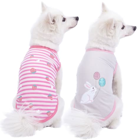 Blueberry Pet Soft & Comfy Wonderland Striped Cotton Blend Dog T-Shirts