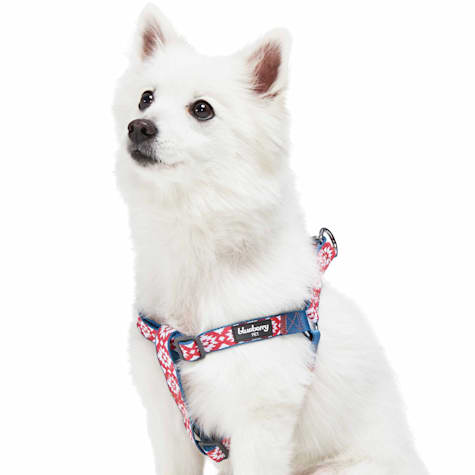 Blueberry Pet Adjustable Step-in Dog Harness