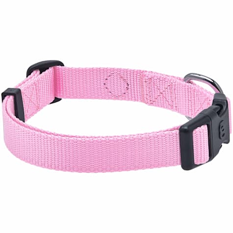 Blueberry Pet Classic Nylon Adjustable Dog Collar
