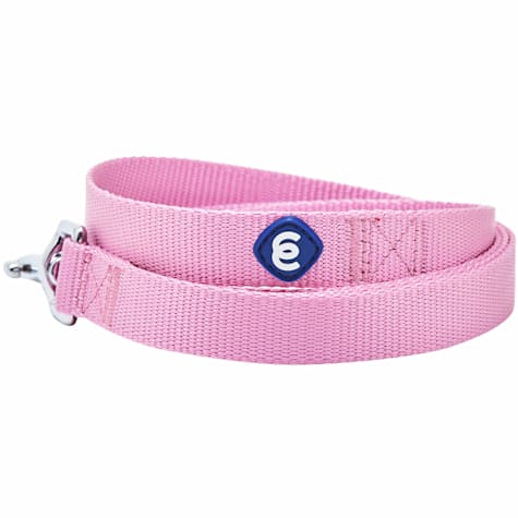 Blueberry Pet Essentials Durable Classic Dog Leash