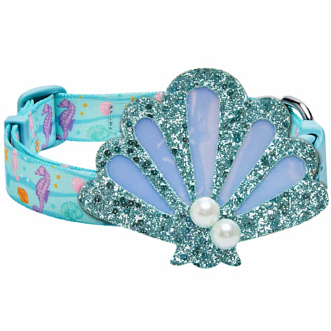 Blueberry Pet Detachable Shell Adjustable Dog Collar