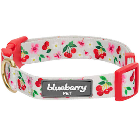 Blueberry Pet Adjustable Dog Collar