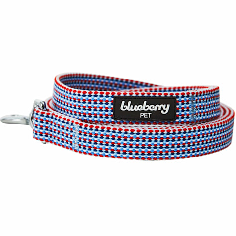 Blueberry Pet Dog Leash