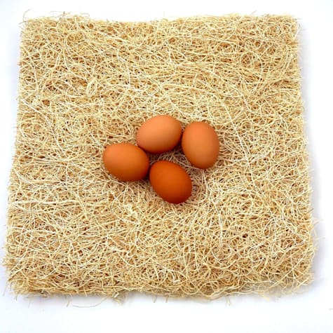 Backyard Barnyard Excelsior Nesting Pads
