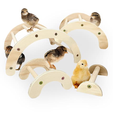 Backyard Barnyard Nesting Chick Perch