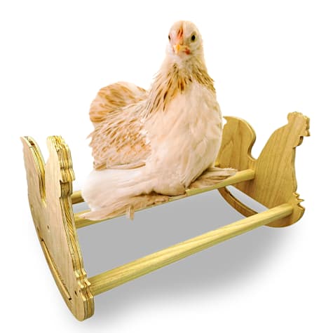 Backyard Barnyard Chicken Bird Perch Rocker