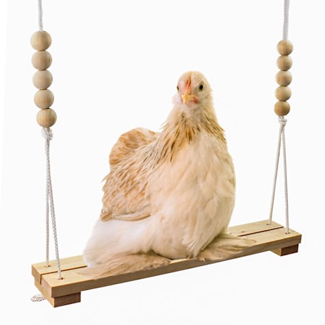 Backyard Barnyard 2 Bar Chicken Bird Swing