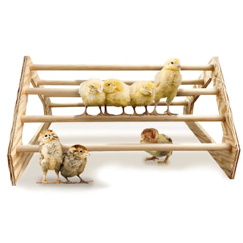 Backyard Barnyard 7 Bar Chick Bird Perch