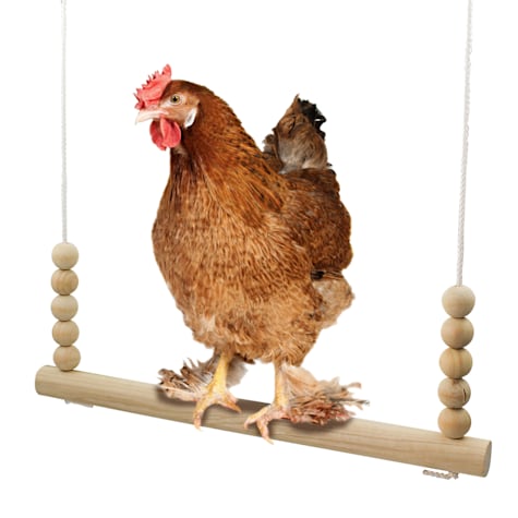 Backyard Barnyard Chicken Round Bar Bird Swing