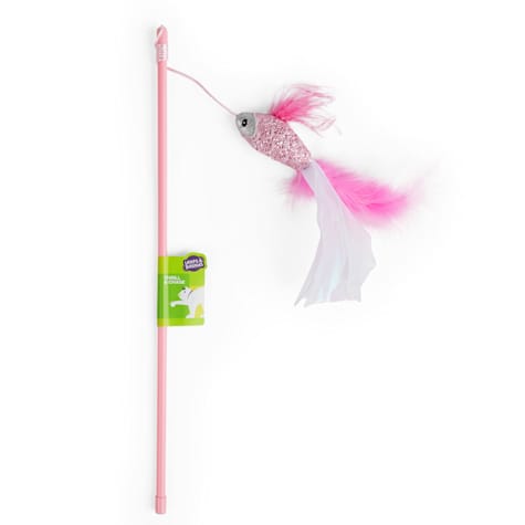 Leaps & Bounds Fish Cat Teaser Toy