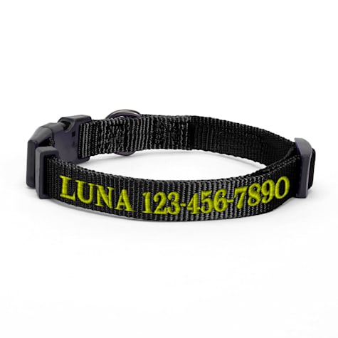 Pawtitas Personalized Solid Dog Collar