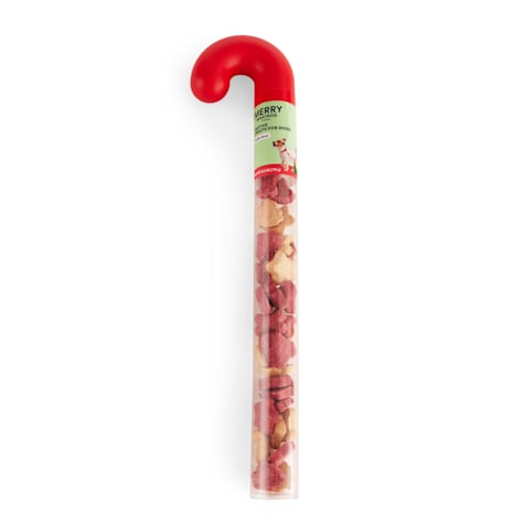 Merry Makings Candy Cane Filled with Treats for Dogs