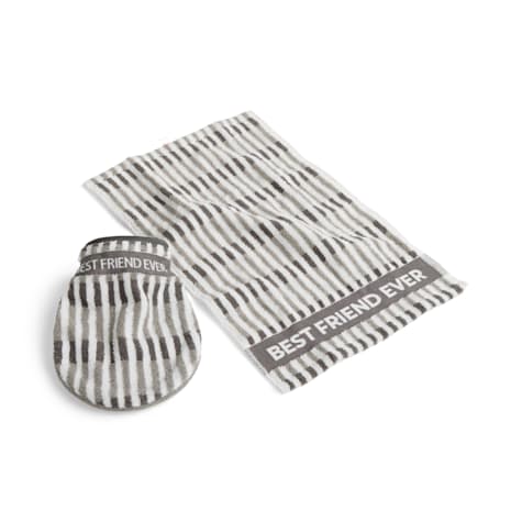 Reddy Gray Drool Mitt & Towel Set for Dogs