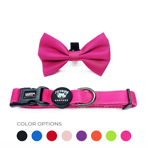 Joyride Harness Dog Collar + Removable Bow Tie