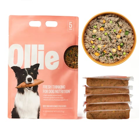 Ollie Fresh Beef Dish with Sweet Potatoes Fresh Frozen Dog Food
