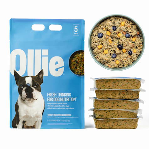 Ollie Fresh Turkey Dish with Blueberries Fresh Frozen Dog Food