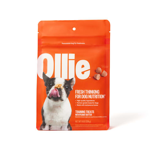 Ollie Dog Training Treats with Peanut Butter